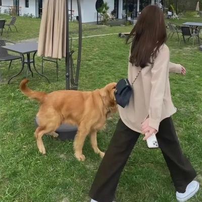 功夫熊猫第一季